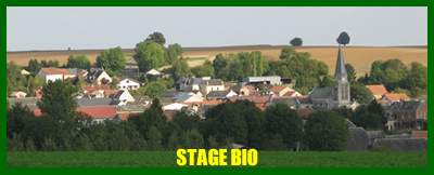 stage bio